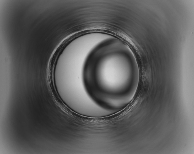 X0000100311116200806051450