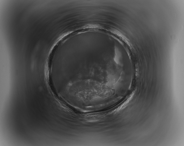X0000100311117200806051450