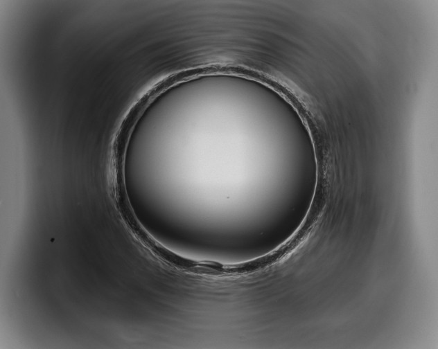 X0000100311118200806051450