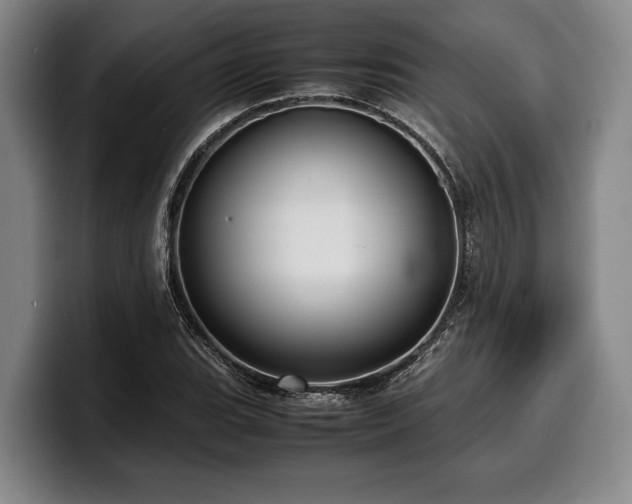 X0000100311119200806051450