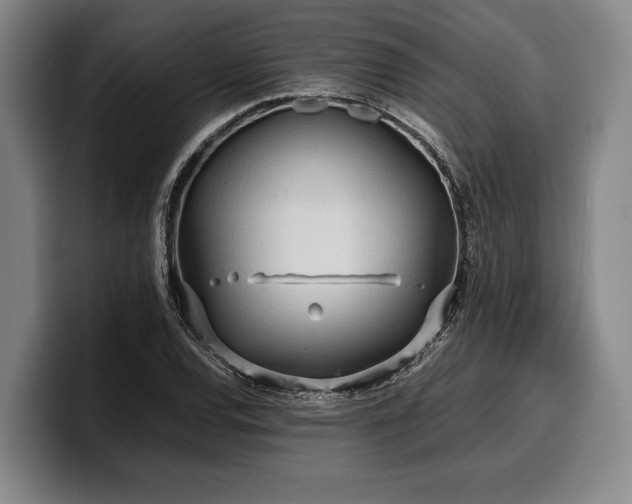 X0000100311120200806051450