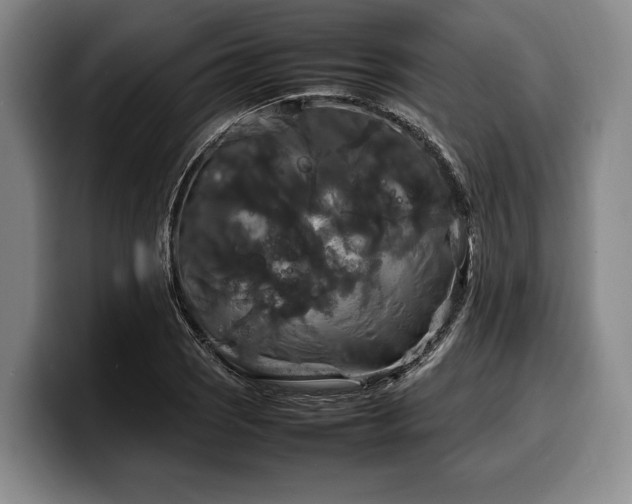 X0000100311121200806051450