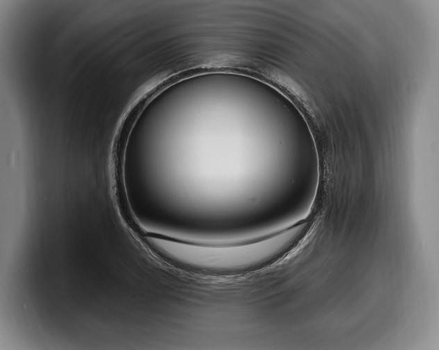 X0000100311122200806051450