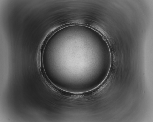X0000100311123200806051450