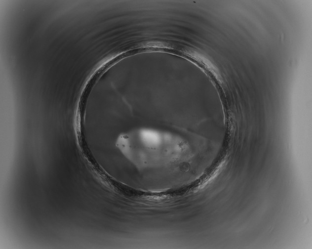 X0000100311125200806051450