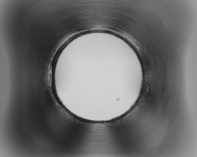 X0000100311126200806051450