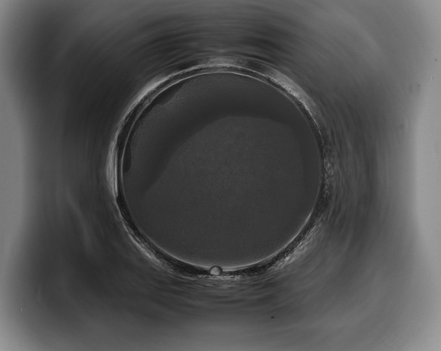 X0000100311127200806051450