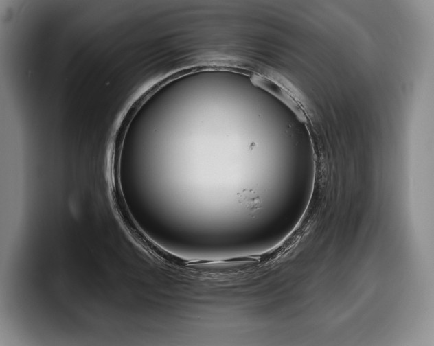 X0000100311128200806051450