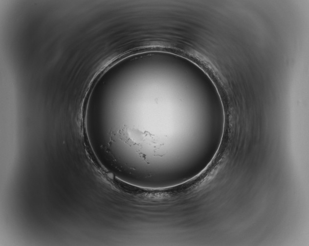 X0000100311129200806051450
