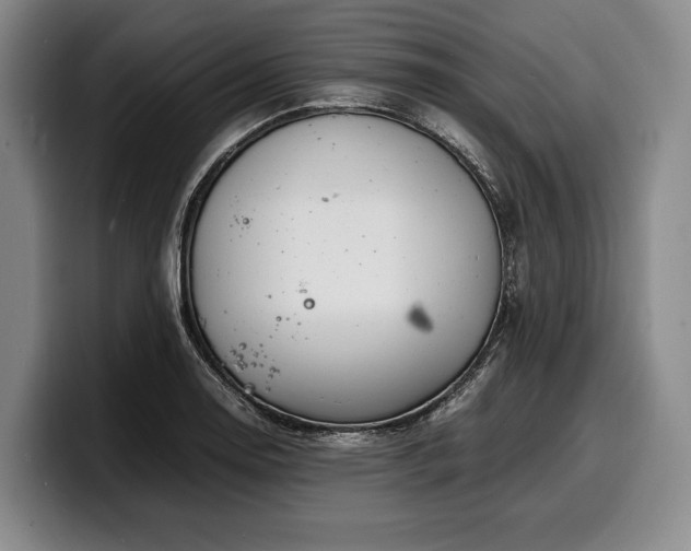 X0000100311130200806051450