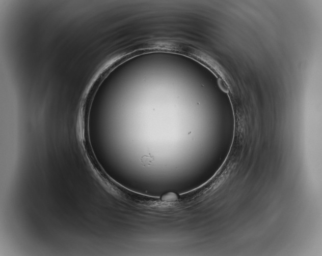 X0000100311131200806051450
