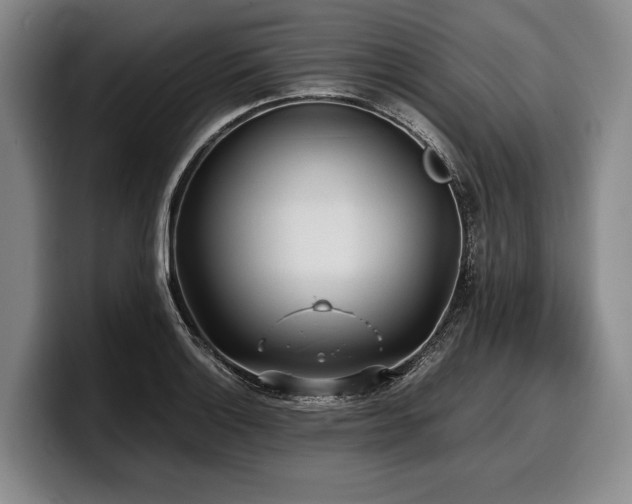 X0000100311132200806051450
