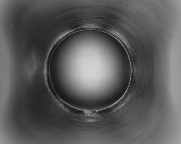 X0000100311133200806051450