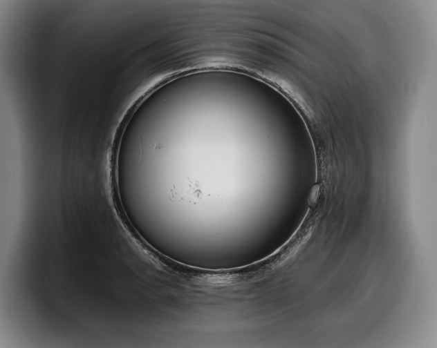 X0000100311134200806051450
