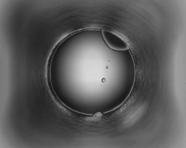 X0000100311135200806051450