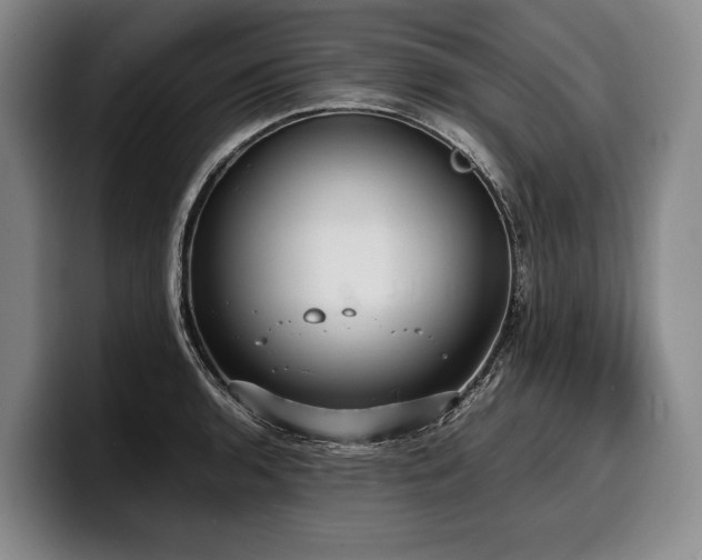 X0000100311136200806051450