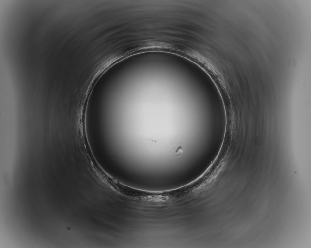 X0000100311137200806051450