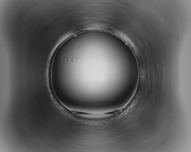 X0000100311138200806051450