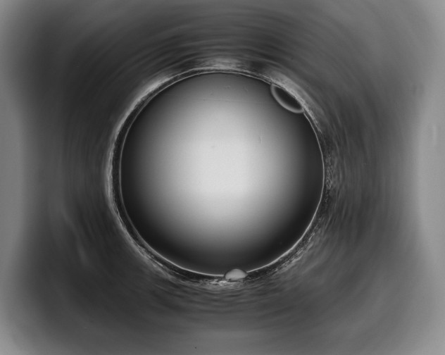 X0000100311139200806051450