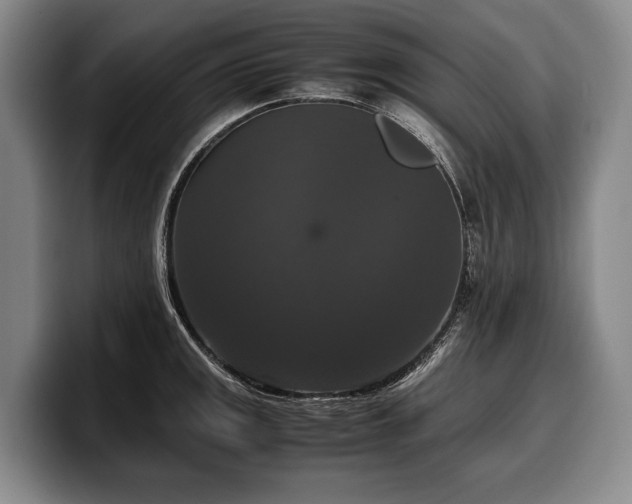 X0000100311141200806051450