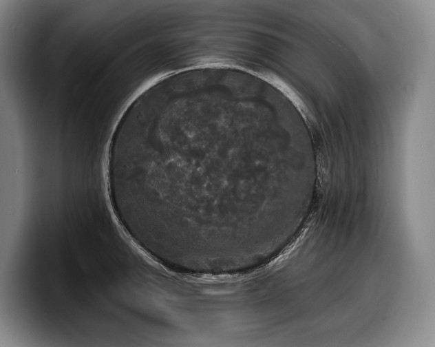 X0000100311142200806051450