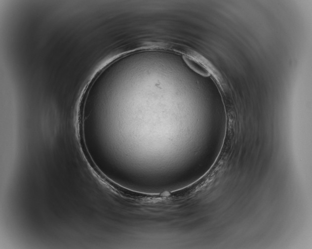 X0000100311143200806051450
