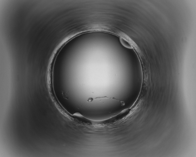 X0000100311144200806051450