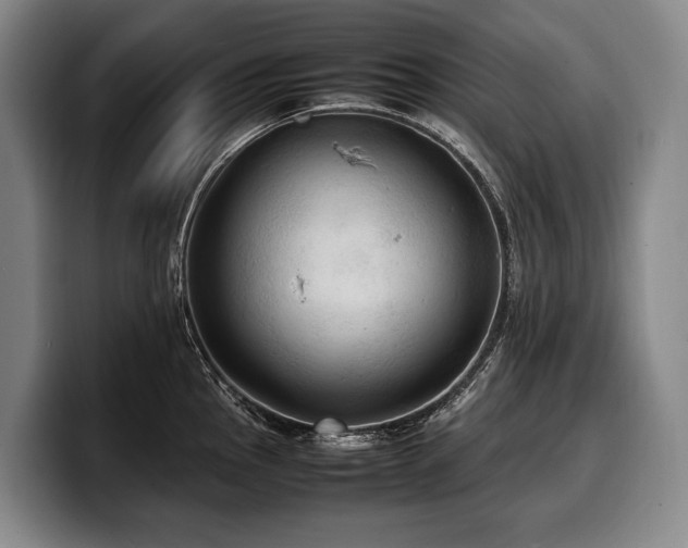 X0000100311145200806051450