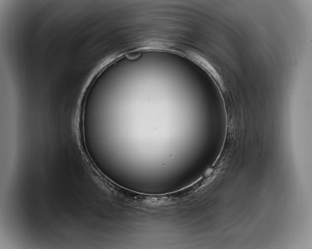 X0000100311146200806051450