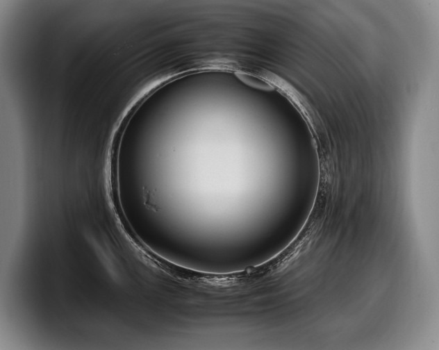 X0000100311147200806051450