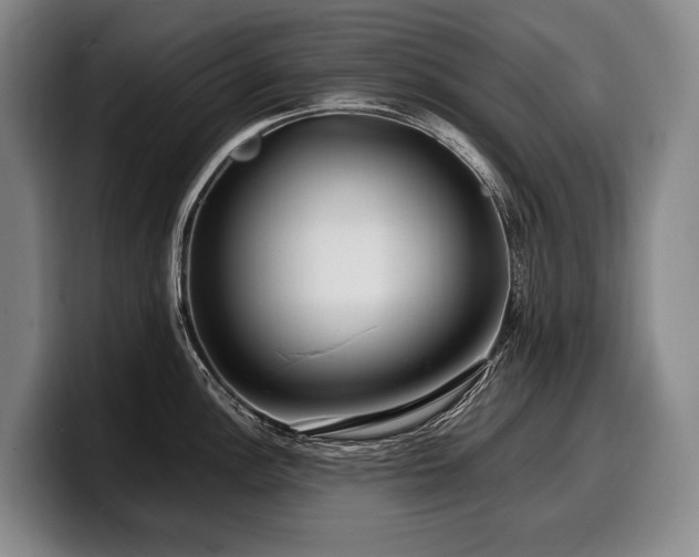 X0000100311148200806051450