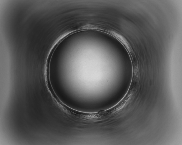X0000100311149200806051450