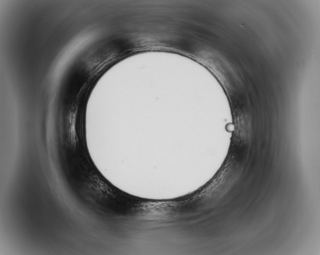 X0000100311150200806051450
