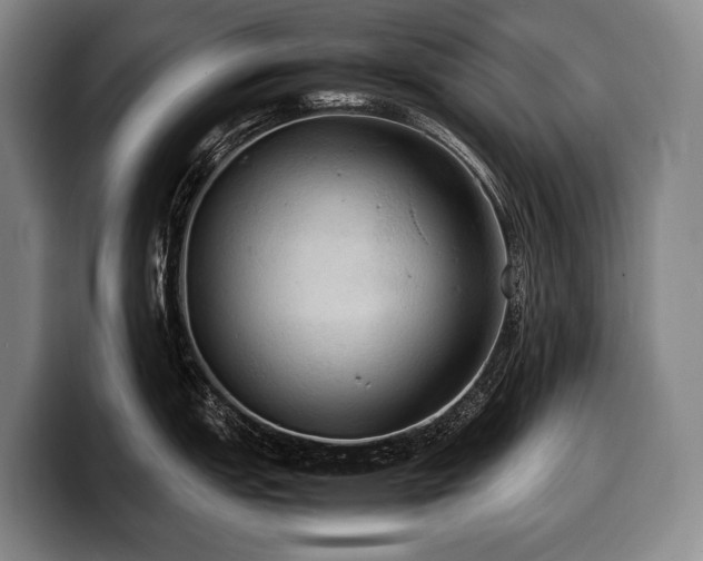 X0000100311151200806051450