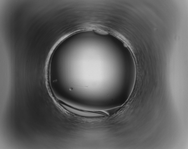 X0000100311152200806051450