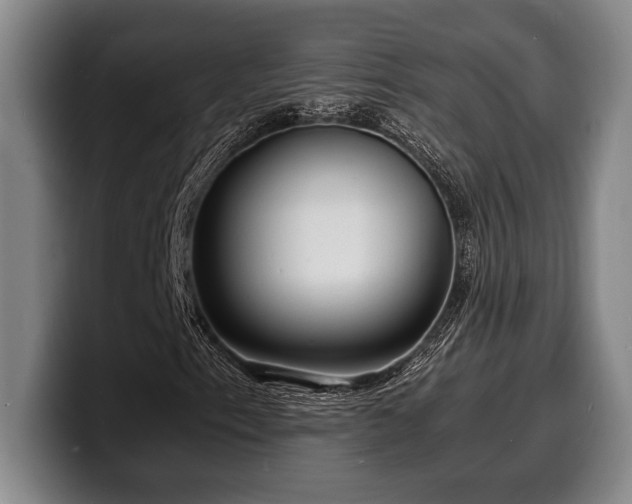 X0000100311153200806051450