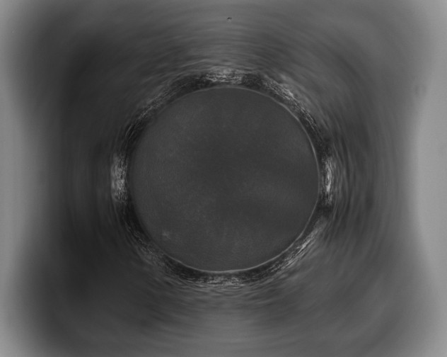 X0000100311154200806051450