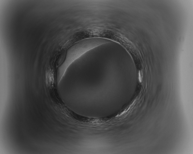 X0000100311155200806051450
