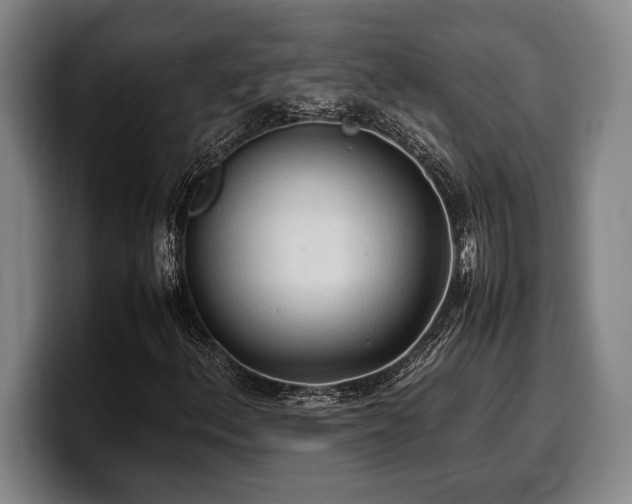 X0000100311156200806051450