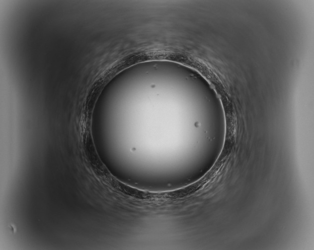 X0000100311157200806051450