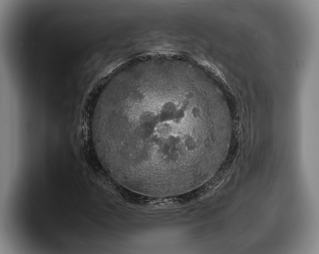 X0000100311159200806051450