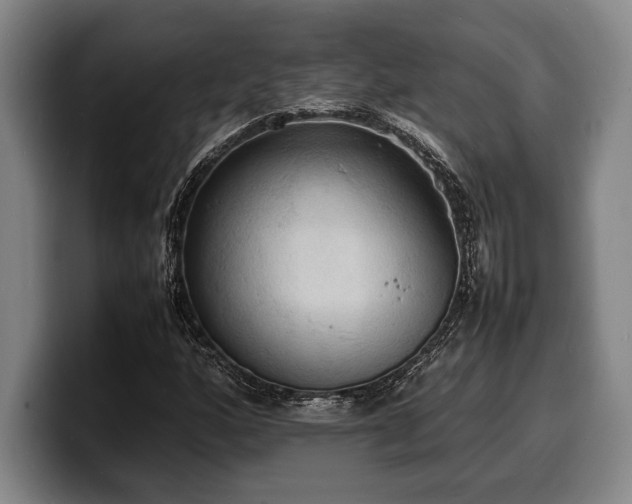 X0000100311160200806051450