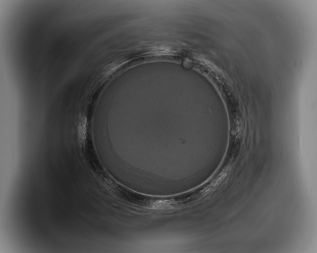 X0000100311161200806051450