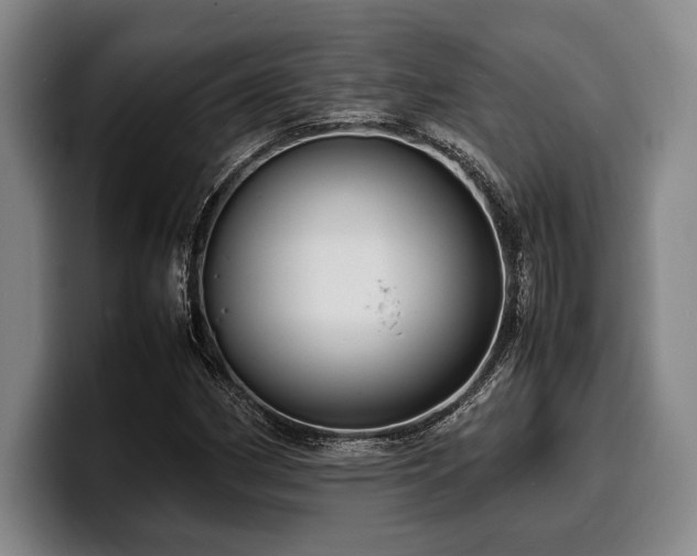 X0000100311162200806051450