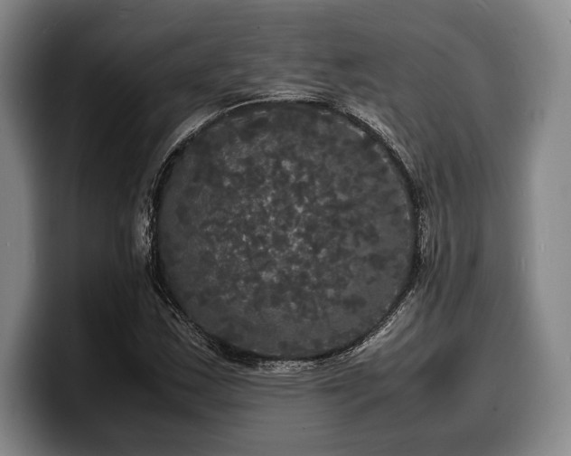 X0000100311163200806051450