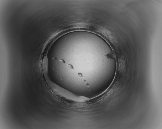 X0000100311164200806051450