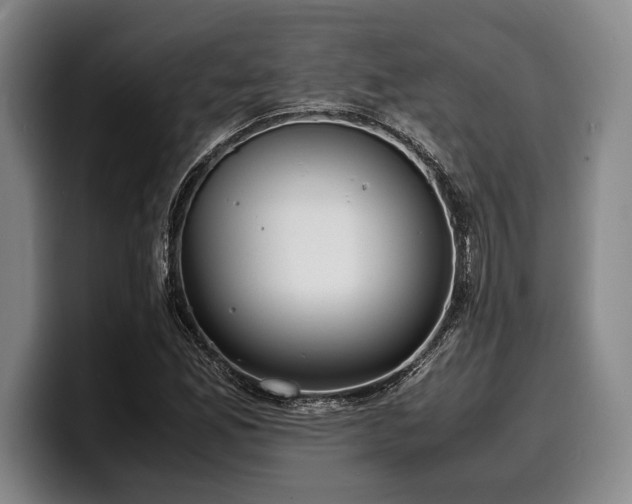 X0000100311165200806051450