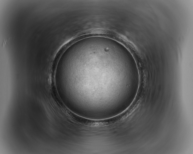 X0000100311166200806051450