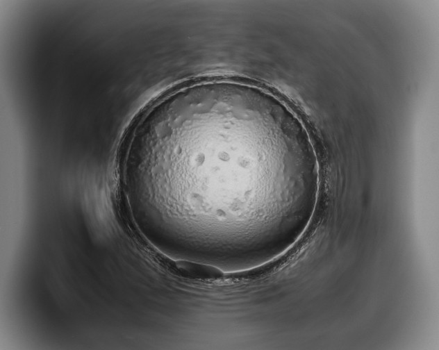 X0000100311167200806051449