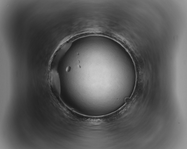 X0000100311168200806051449